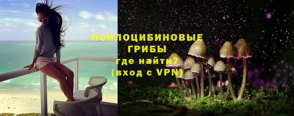 дмт Алексин